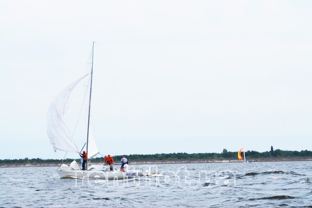 Teamwork of the participants of the corporate sailing regatta