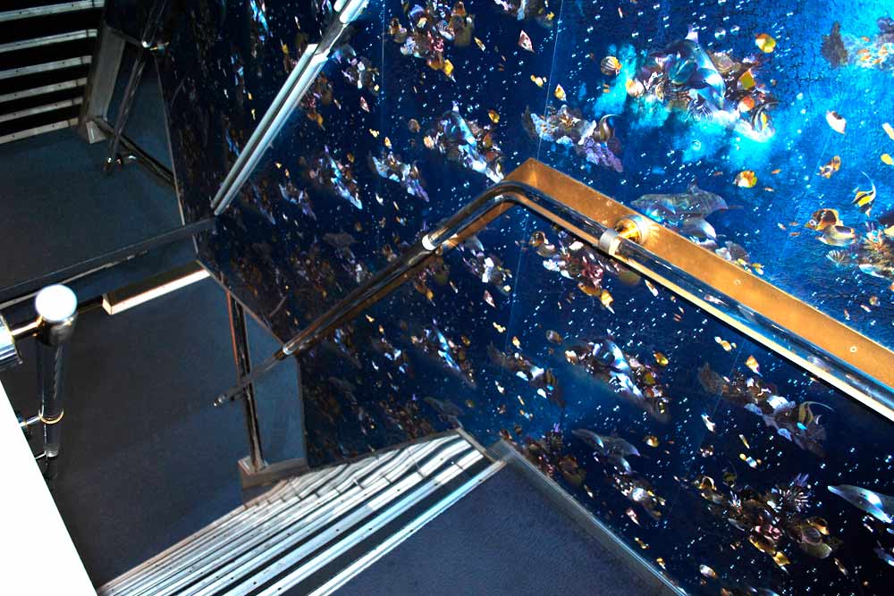 Enlarge photo of the inner ladder to the lower deck of the katmaran Khadzhibey motor ship Internal ladder to the lower deck of the motor ship of the catamaran Hadzhibey