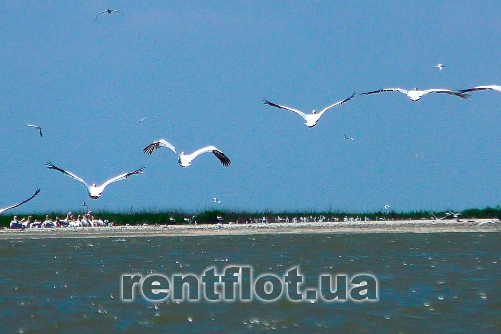 Enlarge photo of sailing yacht Estra along the coast Boat trip Estra along the coast